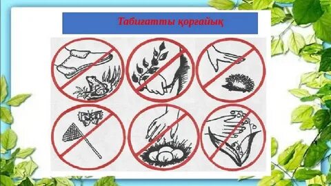 Бөксе тесігі