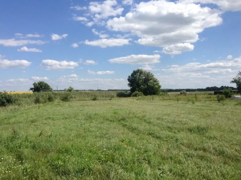 Село Орлово Новоусманского района Воронежской области. Правая Хава Воронежская область. Рождественская Хава Воронежская область. Новоусманский Ленина земельные участки. Участок новая усмань воронежская область