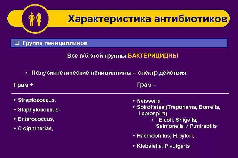 Класс пенициллинов