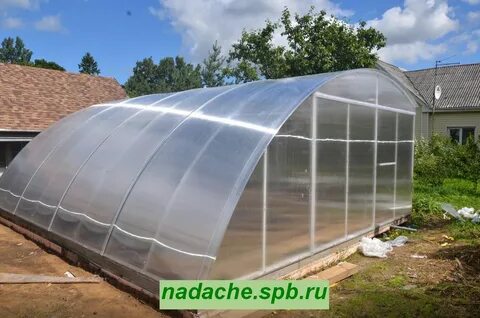 Сибирская теплицы отзывы