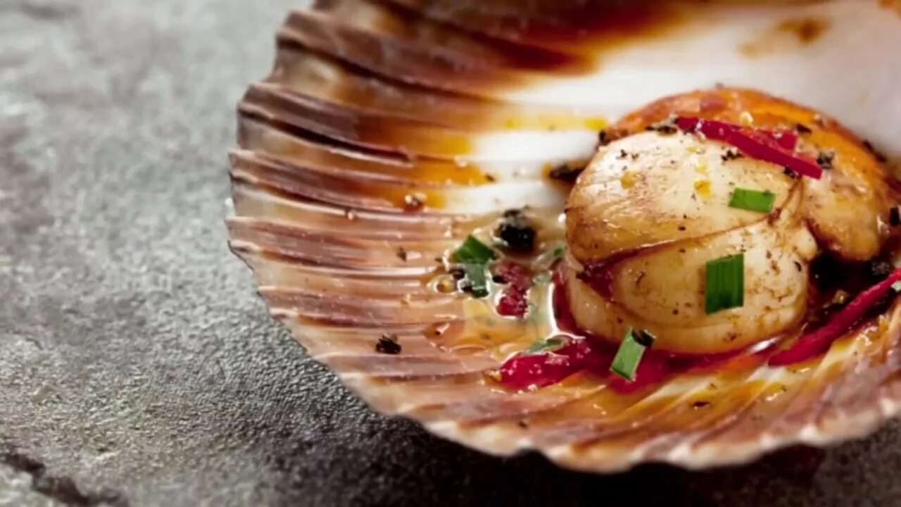 Морской гребешок Scallops. Морской гребешок Бутчер. Морские гребешки Франция ресторан. Морской гребешок Шелл.