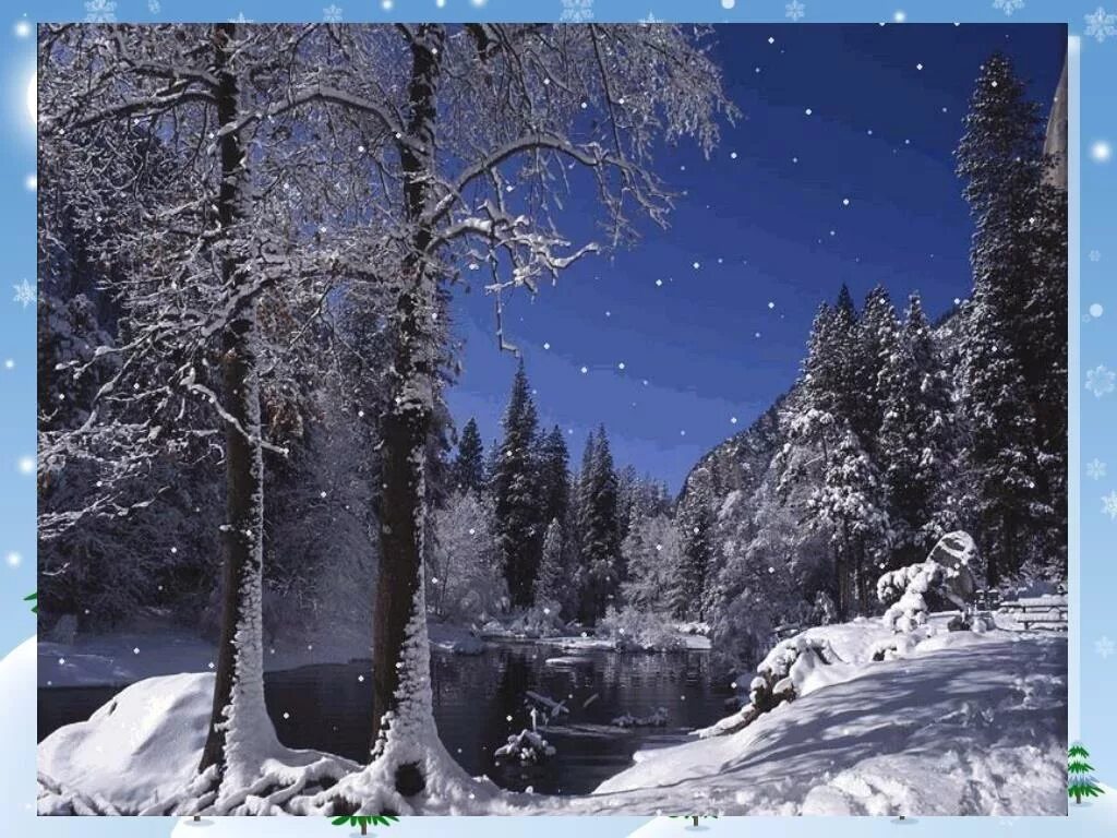 Зима снегопад. Зимний лес ночью. Живое зимнее. Февраль природа. Анимированный снегопад.