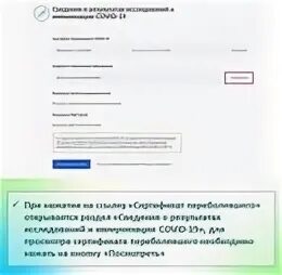 Не приходит сертификат