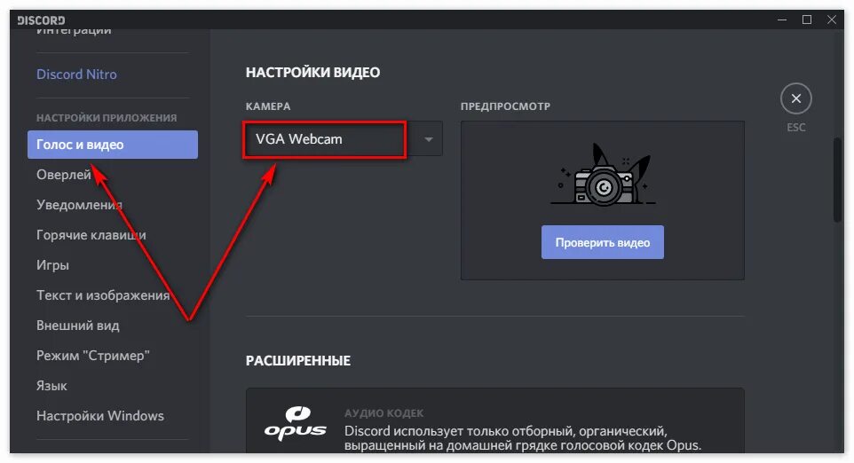 Дискорд нет звука при трансляции. Отзеркалить камеру в дискорде. демонстрация экрана в дискорд. дискорд камера. дискорд трансляция.