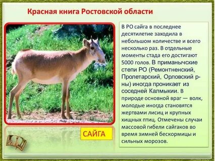Красная книга ростовской