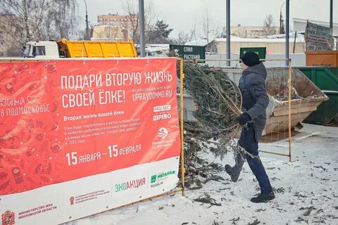Подари 2