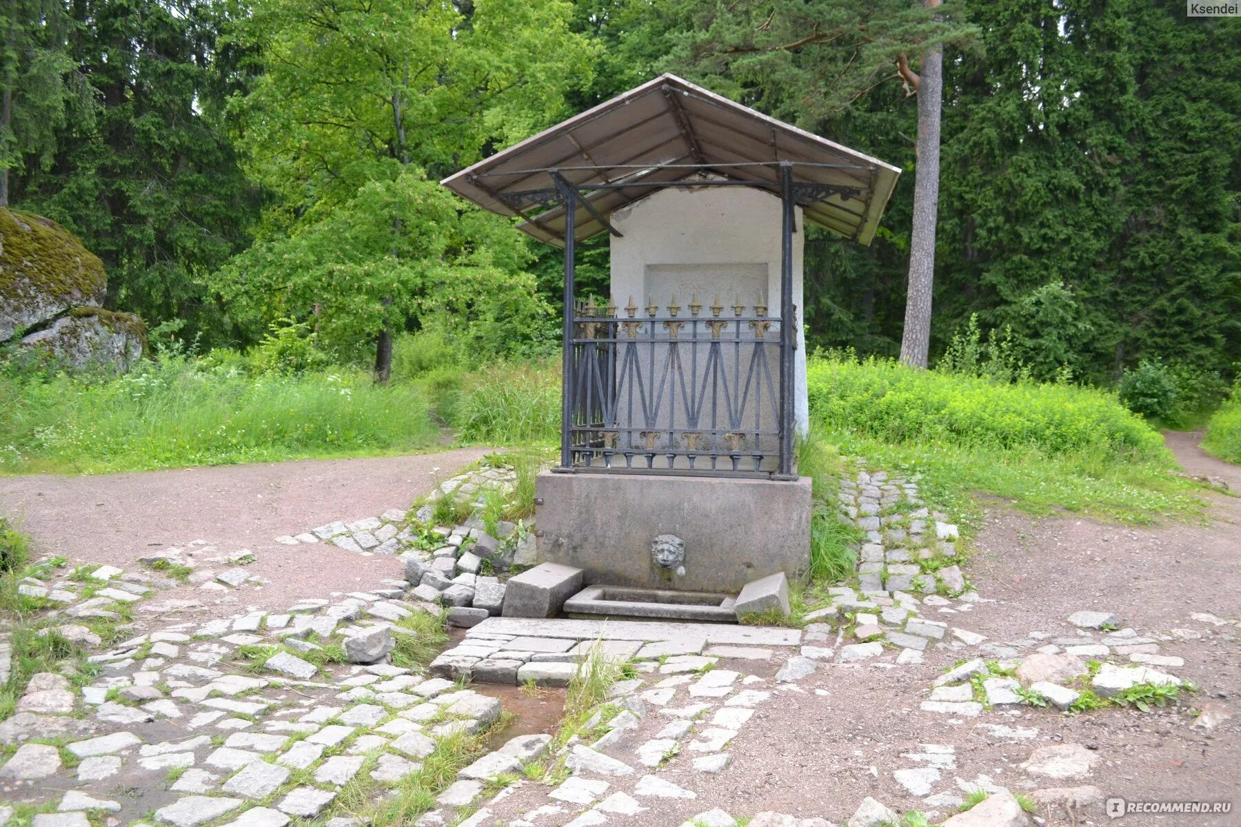 Парк монрепо в выборге режим работы. Парк монрепо в выборге. экотропа выборг монрепо. родник в выборге монрепо. эко тропа парк монрепо.