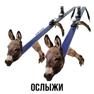Пингвинишко