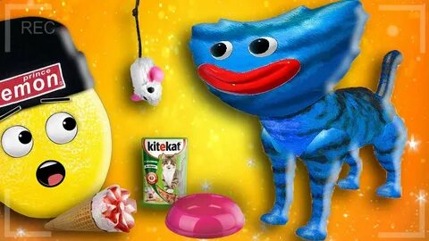 Включи про хаги ваги