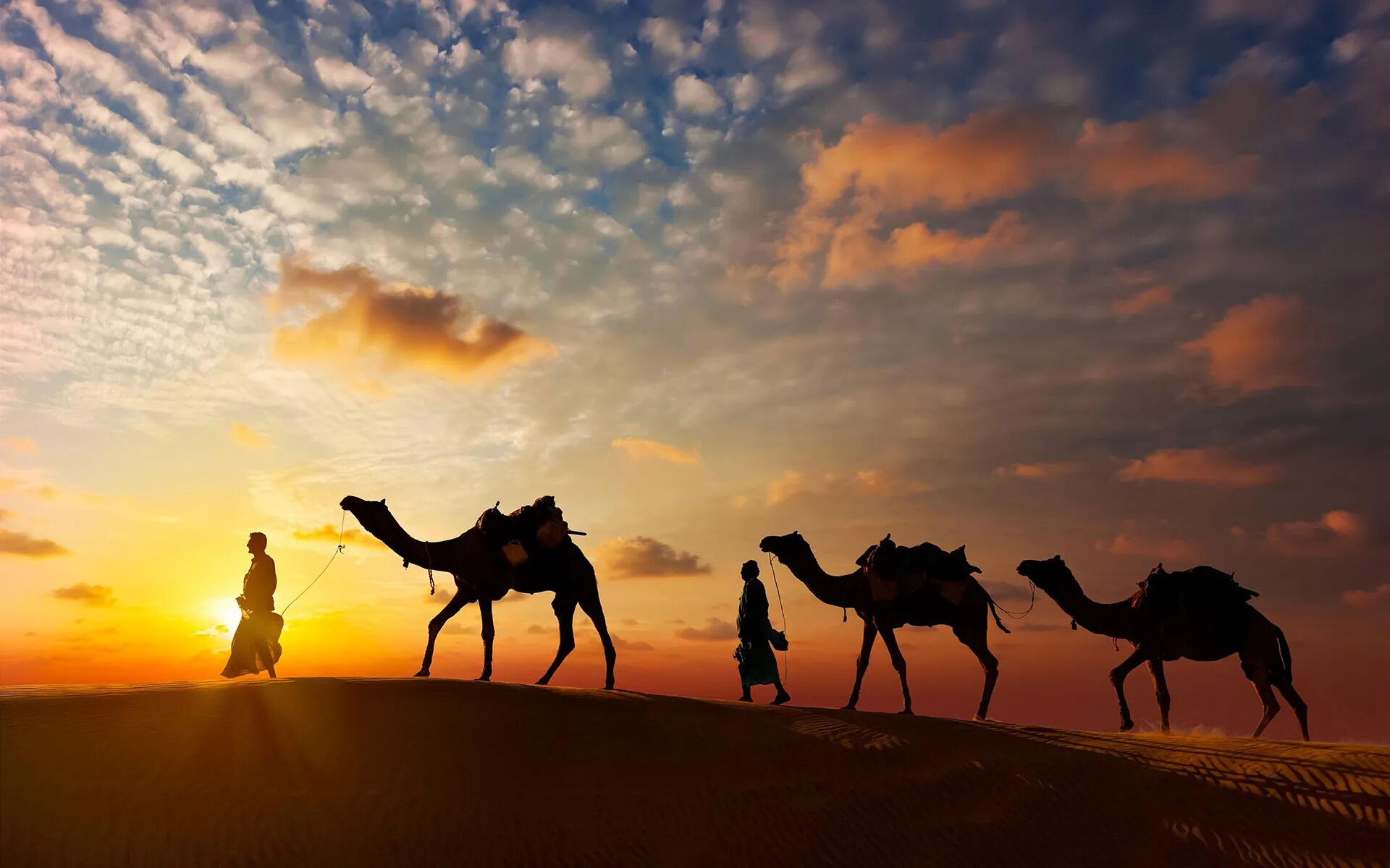 Верблюды Караван. Великий шелковый путь Караван. Верблюд в пустыне. Караван с верблюдами в пустыне.