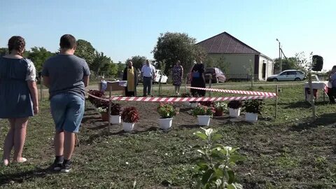 Погода село лозное белгородская область чернянский