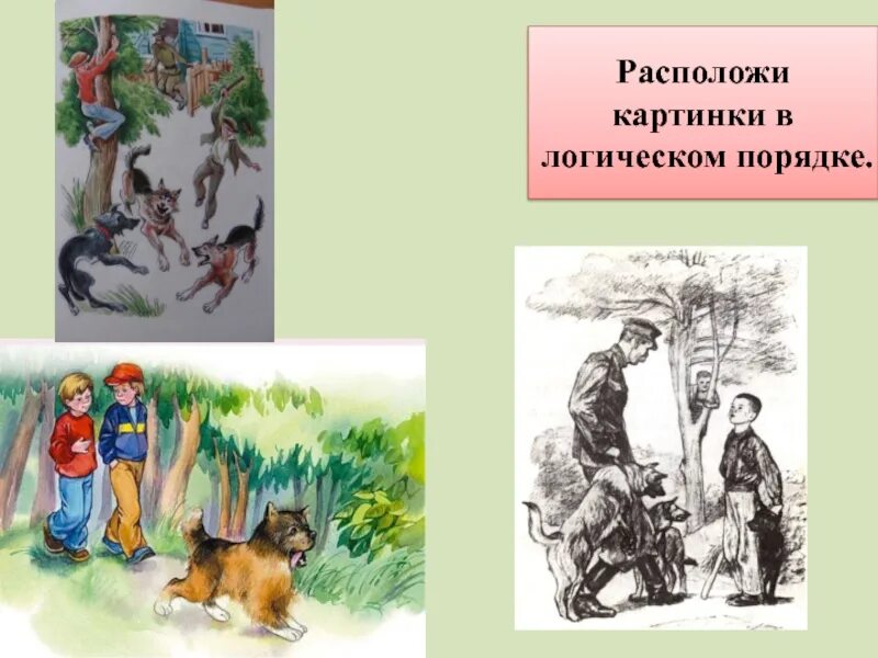 Акула главные герои. Главные герои произведения. Кто хозяин картинки. Кто главный герой рассказа подарок. Кто главные герои рассказа.