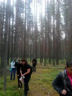 Погода в комарово ленинградской