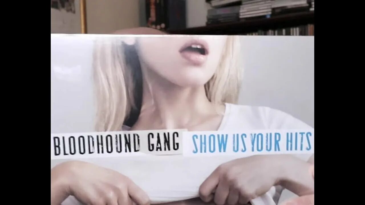 Show us перевод. Bloodhound gang show us your Hits винил. Девушка с обложки Bloodhound gang. Show us your Hits девушка с обложки. Bloodhound gang обложка.