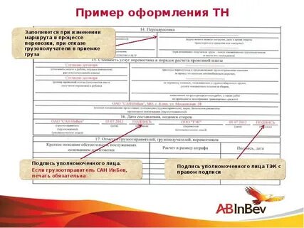 Инструкция тн