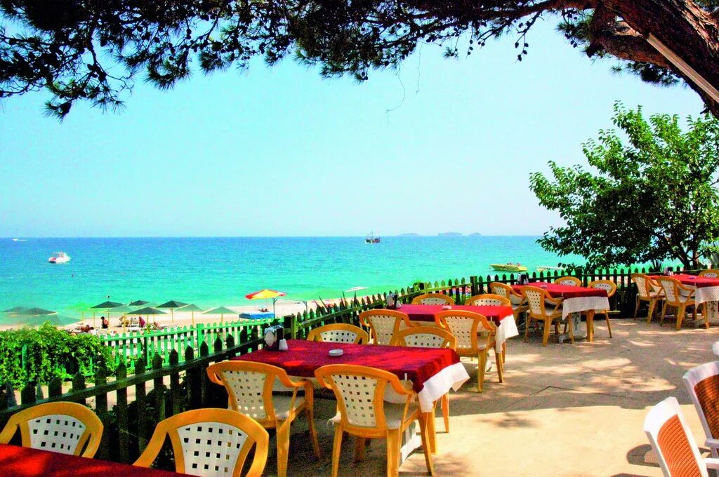 Отель пинара текирова. Бич клаб пинара кемер. Club pinara hotel 4 турция текирова. Бич клаб пинара кемер. Club pinara 4 кемер.