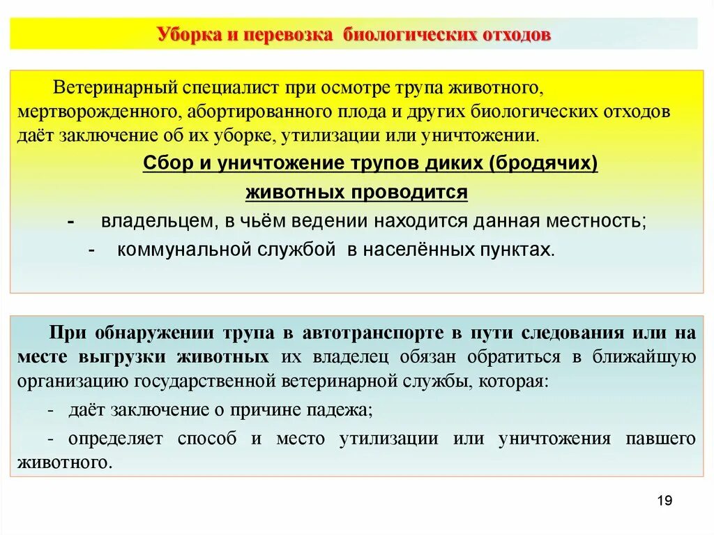 Уничтожение биологических отходов. Правила утилизации биологических отходов. Уничтожение биоотходов. Биологические отходы примеры. Правила сбора биологических отходов