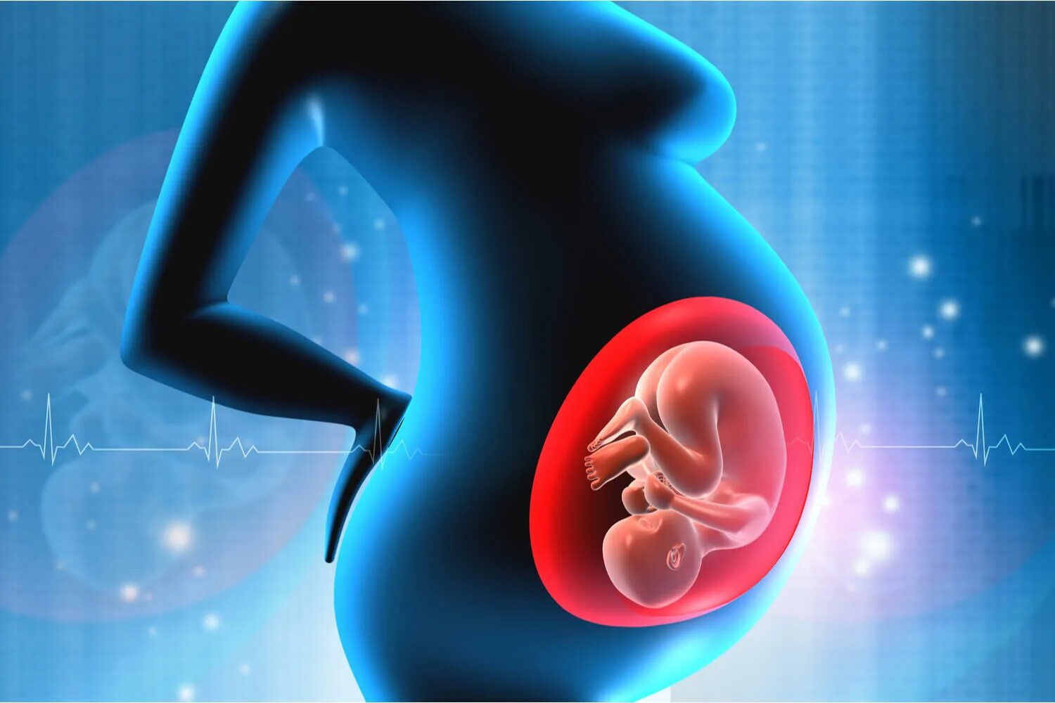 Хомиладорлик ривожланиш. Двухмесячный плод ребенок. Органы беременной женщины. Ребенок в утробе матери амниотическая жидкость. Ребёнок в эмбрионе матка.