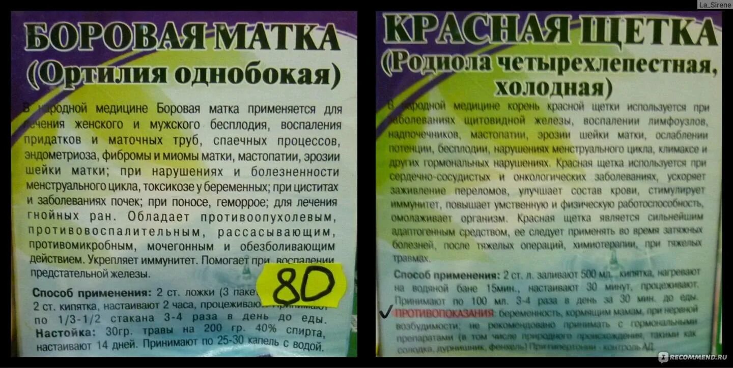 Как правильно пить боровую матку