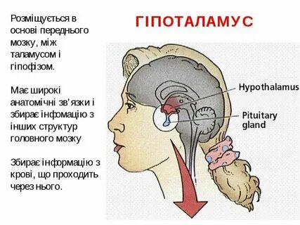 Неясный где находится