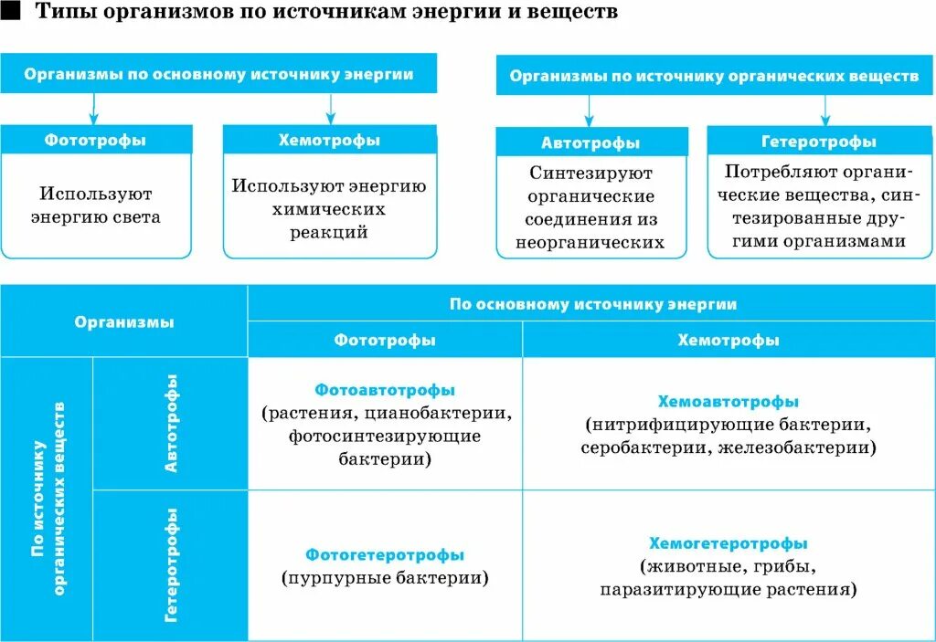 Запишите тип питания организма. Классификация организмов по типу питания и источнику энергии. классификация живых организмов по источникам углерода и энергии. классификация организмов по типу питания схема. классификация организмов по питанию и источнику энергии.