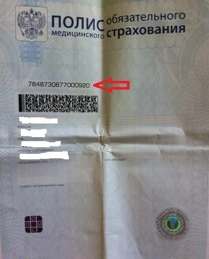 Где находится номер страхового Узнать какая страховая компания по номеру