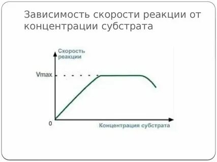 Зависимость активности ферментов от концентрации субстрата