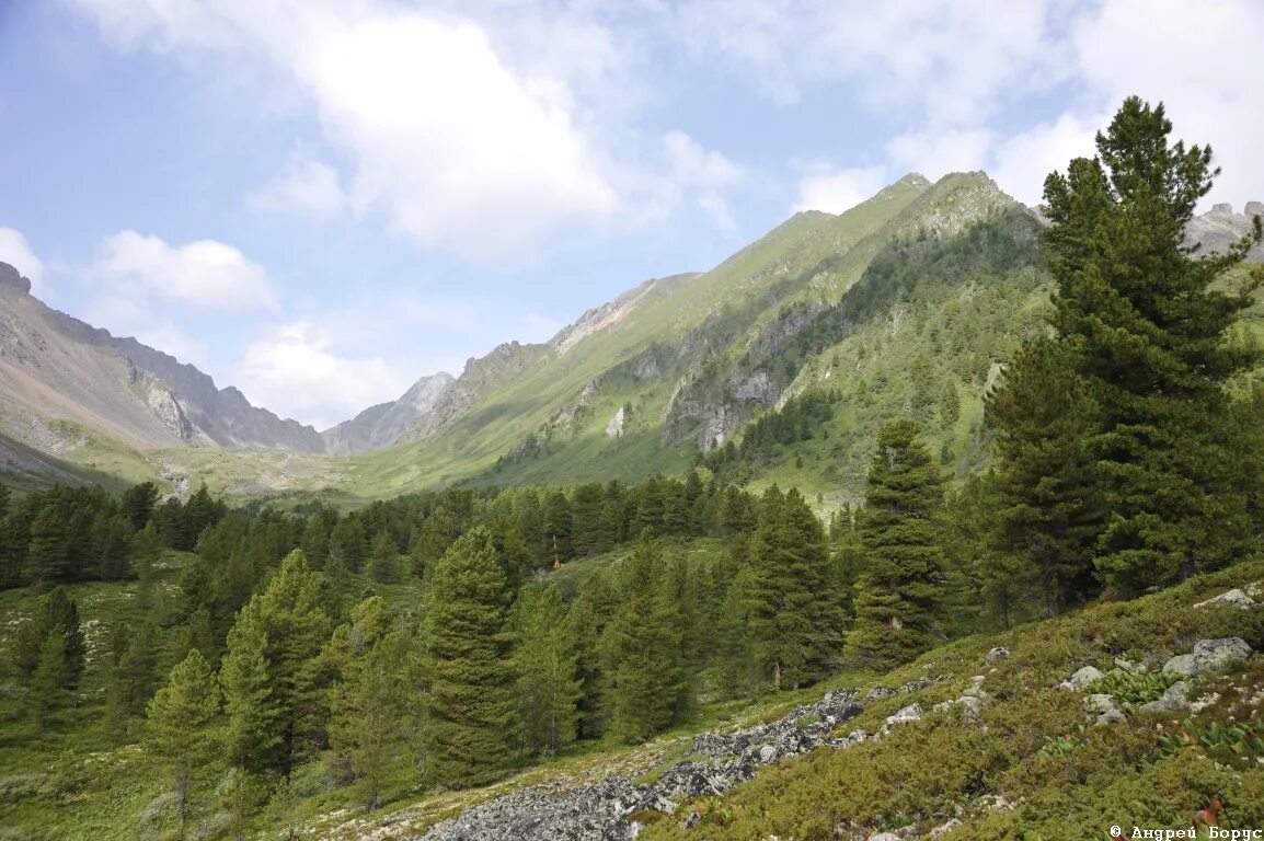 Койморские озера аршан. Тункинские гольцы. Тункинская долина. Тункинский хребет. Тункинской долине вулкан черского.