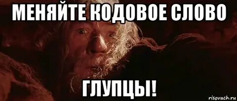 Глупцы не разумом не честностью