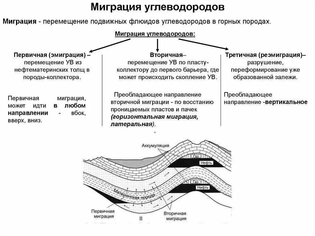 Первичная и вторичная миграция нефти и газа. Процессы миграции углеводородов. Миграция ув нефти и газа. Вторичная миграция углеводородов.