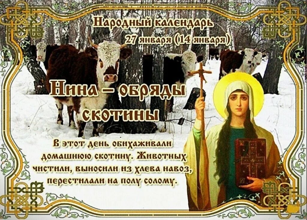 Какой праздник отмечается 27 января. 27 января — нинин день (нина - обряды скотины). нина обряды скотины 27 января. 27 января народный календарь. народные приметы 27 января.