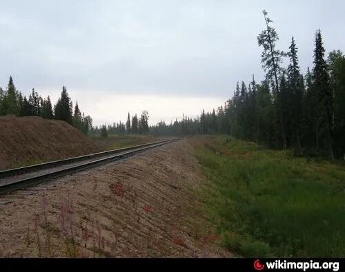 Поезд североуральск. Чиньяворык боксит Тимана. Станция бокситы Североуральск. Рудник Чиньяворык. Железная дорога Чиньяворык Тиман.