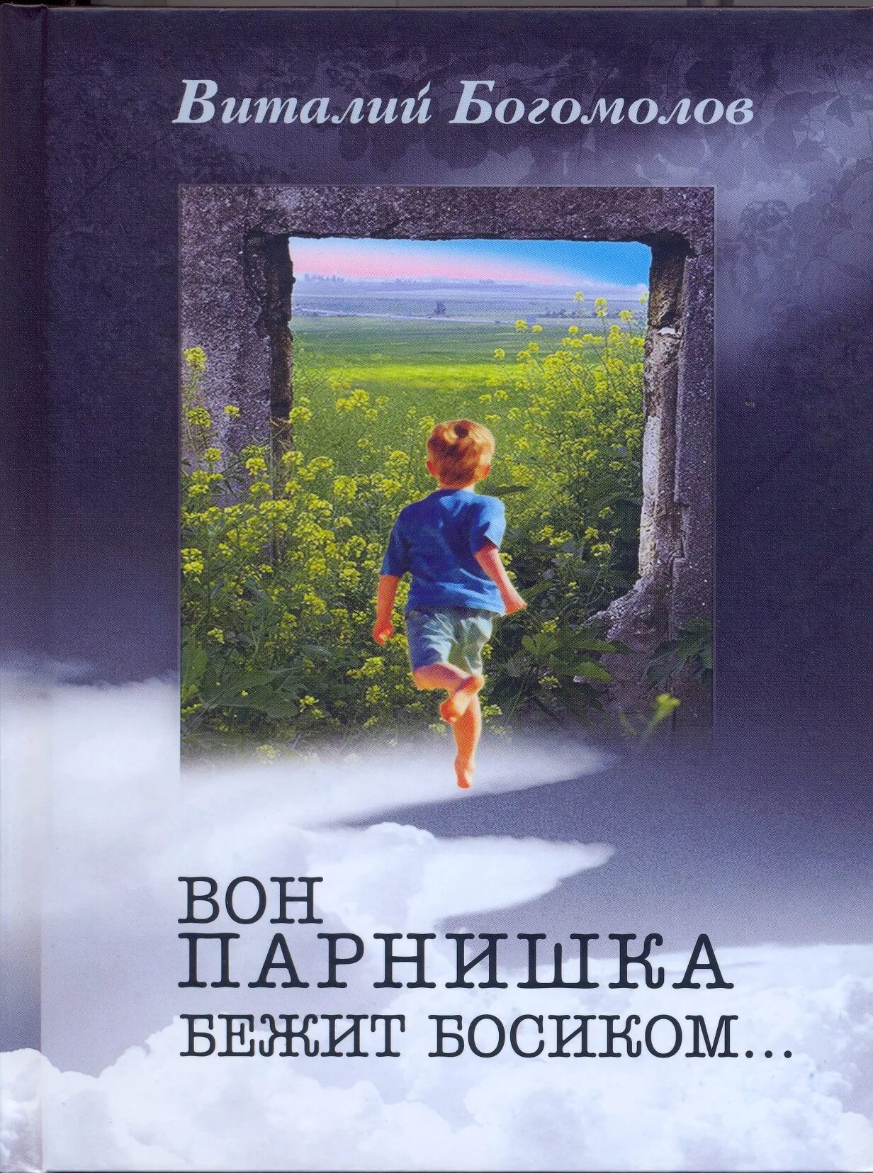 Богомолов писатель Пермский. Книги Виталия Богомолова.