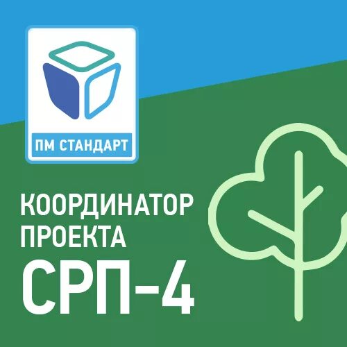 Пм стандарт. Сертификат пм стандарт. пм стандарт срп. логотип пм стандарт. пм стандарт проектное управление.