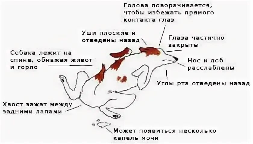 Почему меня трясет