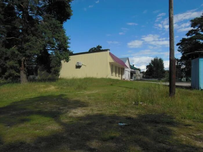 погода зеркальное ленинградская область