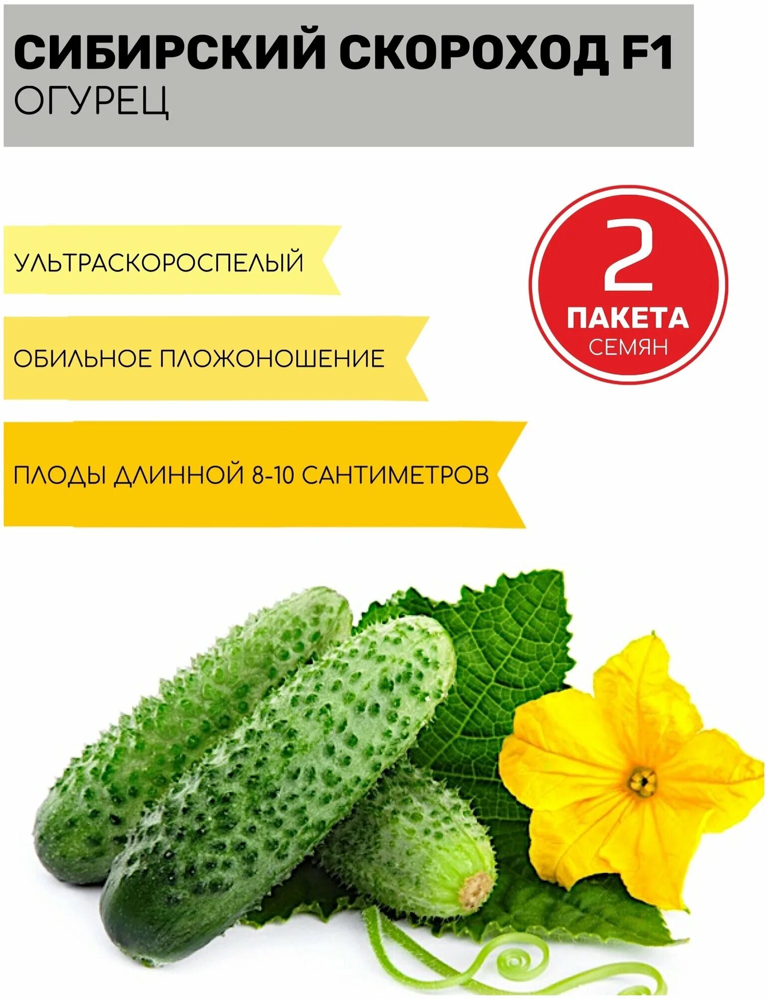 Огурец сибирский скороход. Огурец вятский f1, семена са. Огурцы скороход. Огурцы скороход. Огурцы скороход.