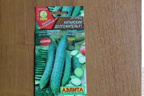 Лучшие сорта китайского огурца