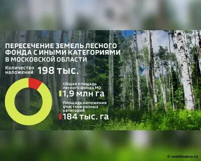 Лесные участки на землях иных категорий