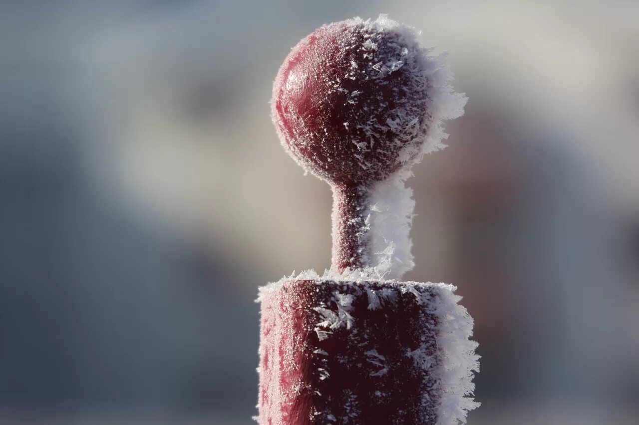 Листья зимой. Ветви деревьев заморозки. Мороженое зимой на улице. Заморозки зимой. Замороженной зимой.