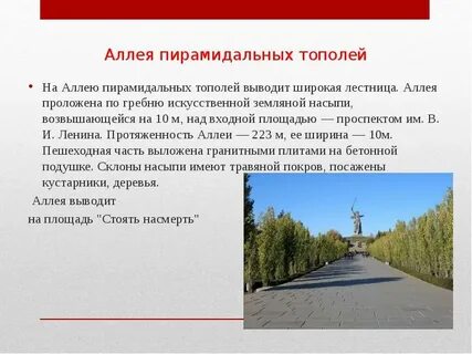 Вывод широкий