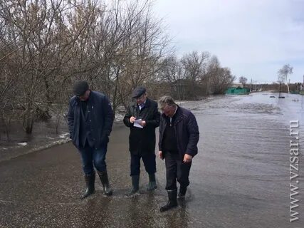 Колено саратовская область
