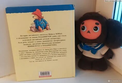 Мысли медведя