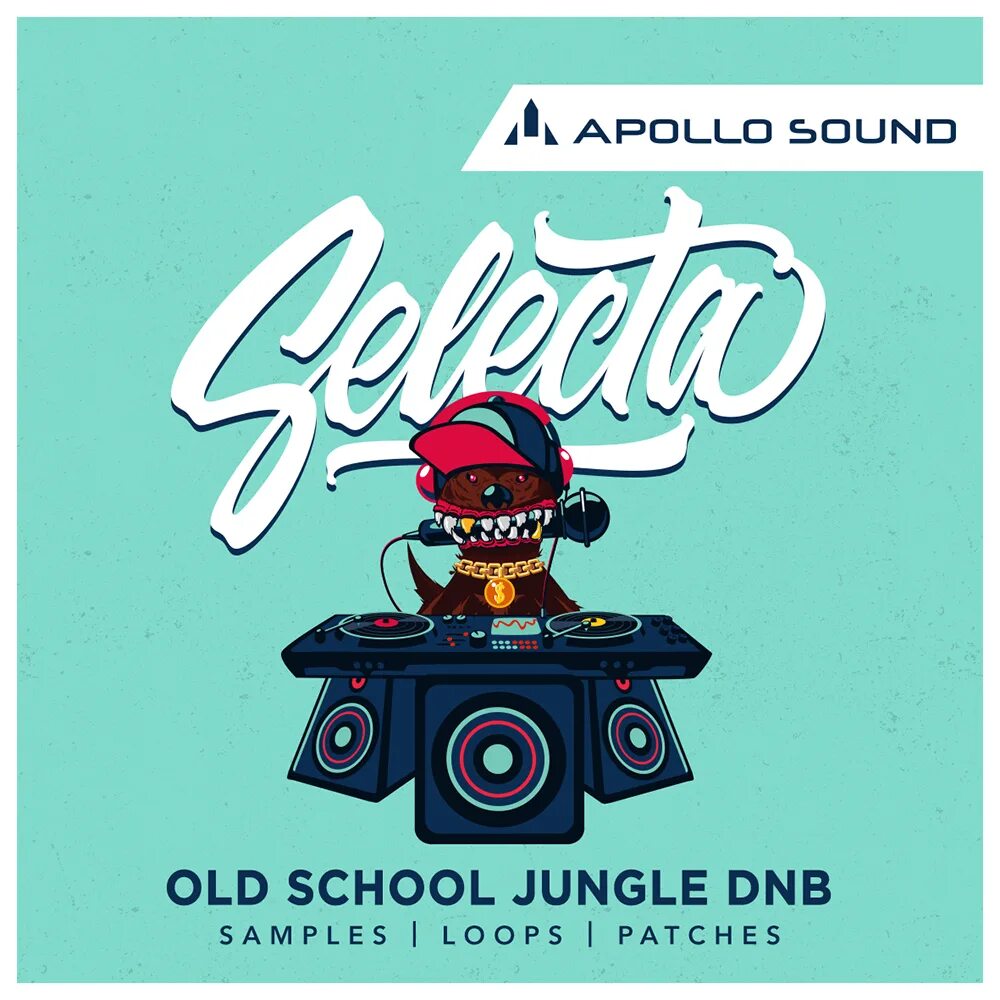 Jungle dnb. Oldschool jungle. джангл сэмплы jungle dnb обложки. dnb ретро обложка.