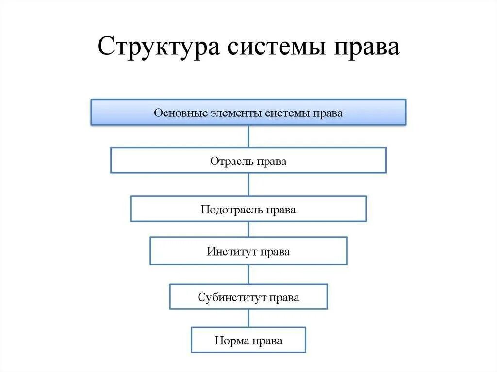 Особенности структуры системы. Структура нормы права отрасль права институт права норма права. структура системы права: отрасль, подотрасль, институт, норма права.. элементы структуры системы права. главные элементы системы права.