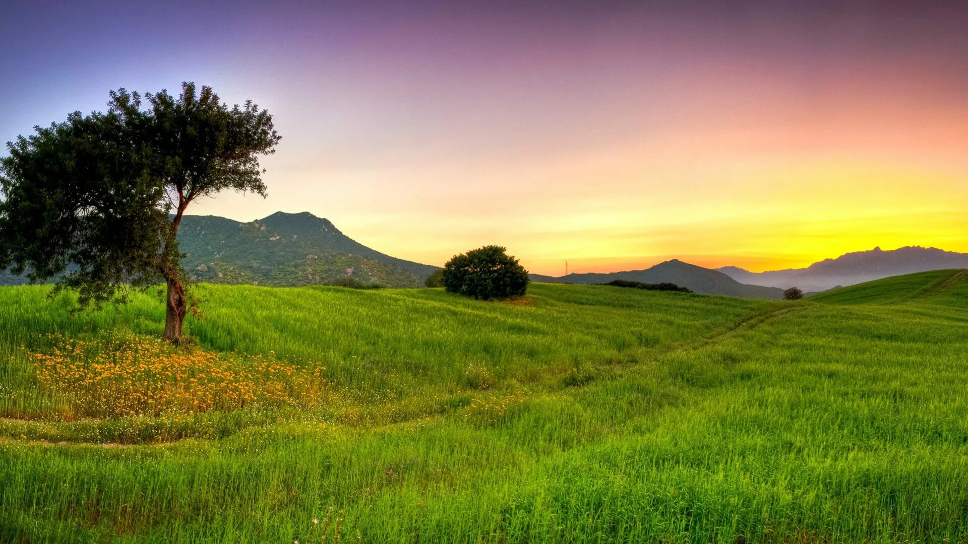 Поле небо. Красивое поле. Поле 16 9. Летние пейзажи природы. Красивая местность.