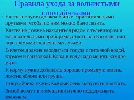 Правила ушла