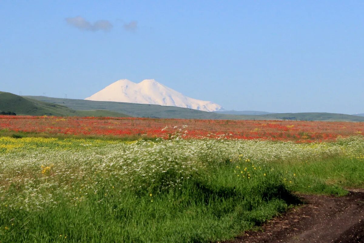 Погода горный предгорного ставропольского края