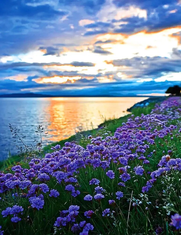 Красивое лето. Летняя природа. Озеро анси франция. Лето детские картинки. Летняя природа.