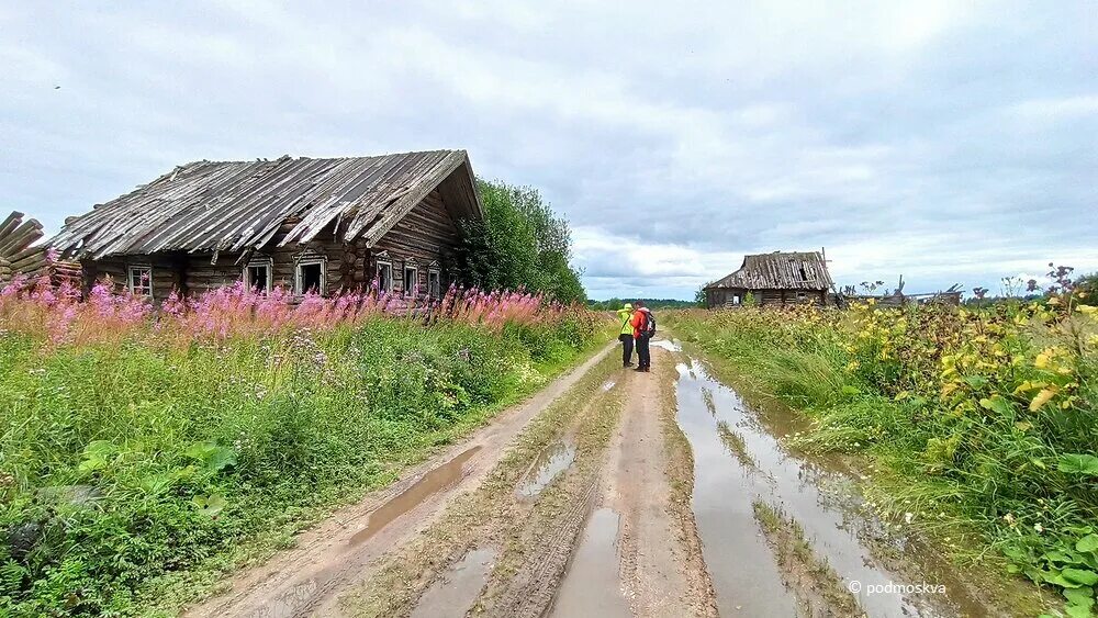 Деревня ли. Деревня Кучепалда в Архангельской. Заброшенные деревни Архангельской области Онежского района. Заброшенные деревни Устьянский район Архангельская область. Кучепалда: заброшенная деревня в Архангельской.